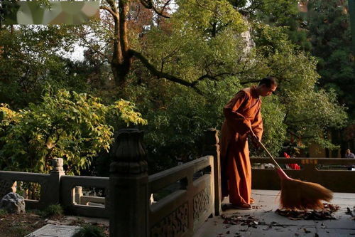 學處 你聽過達摩祖師開示的修行方法嗎 略辨大乘入道四行觀 細講 上