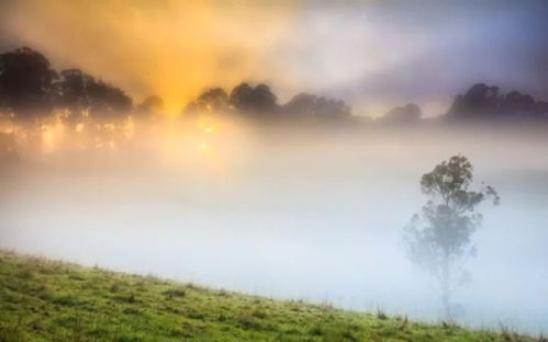 雖說一切都是浮云,但是古詩詞中的浮云卻這么美